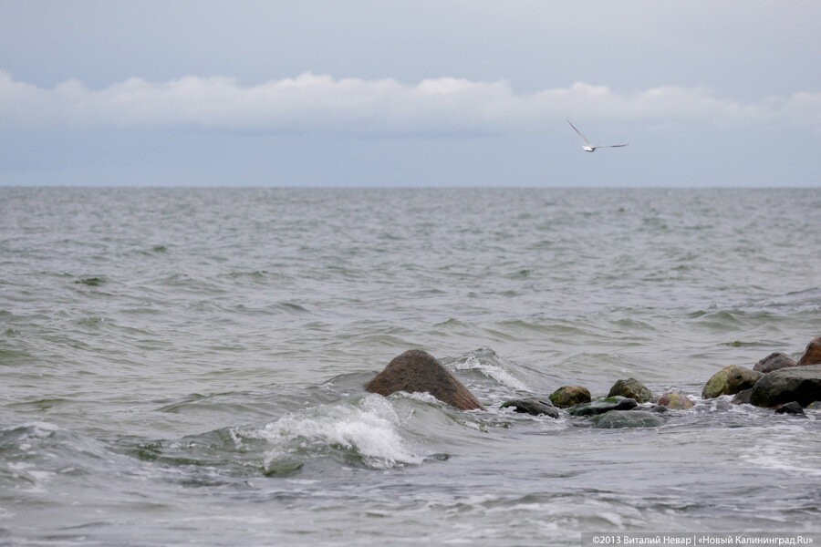 В Калининградском заливе нашли тело мужчины, пропавшего в конце марта