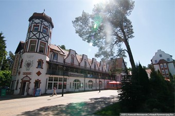 Новый глава Светлогорского района одновременно будет управлять двумя компаниями