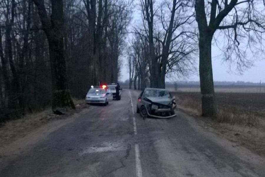 Под Нестеровом пьяный водитель «Ауди» врезался в дерево (фото)