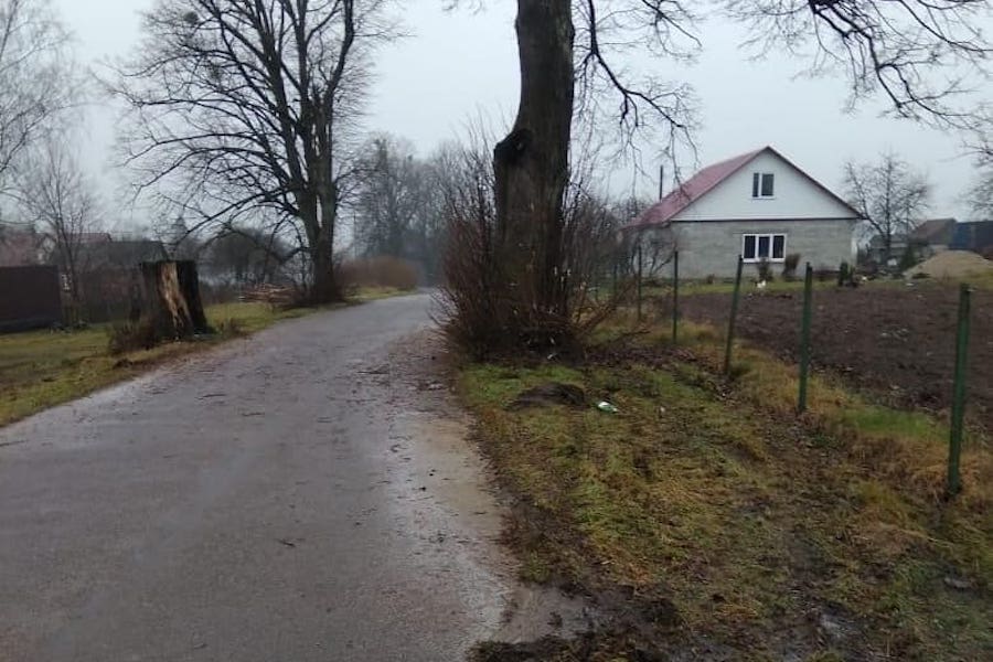 Ночью под Полесском водитель без прав врезался в дерево