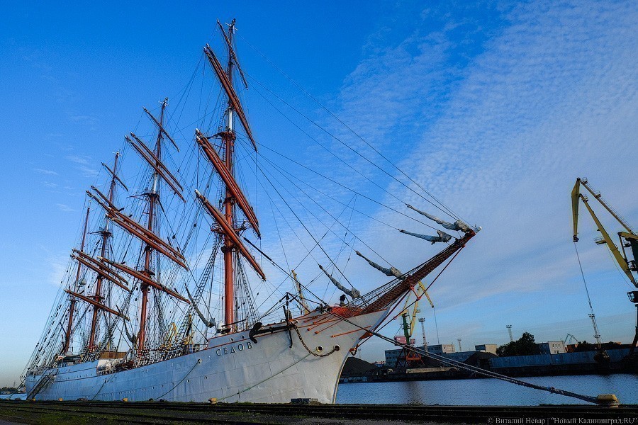 Калининградцев приглашают проводить барки «Крузенштерн» и «Седов» в кругосветку