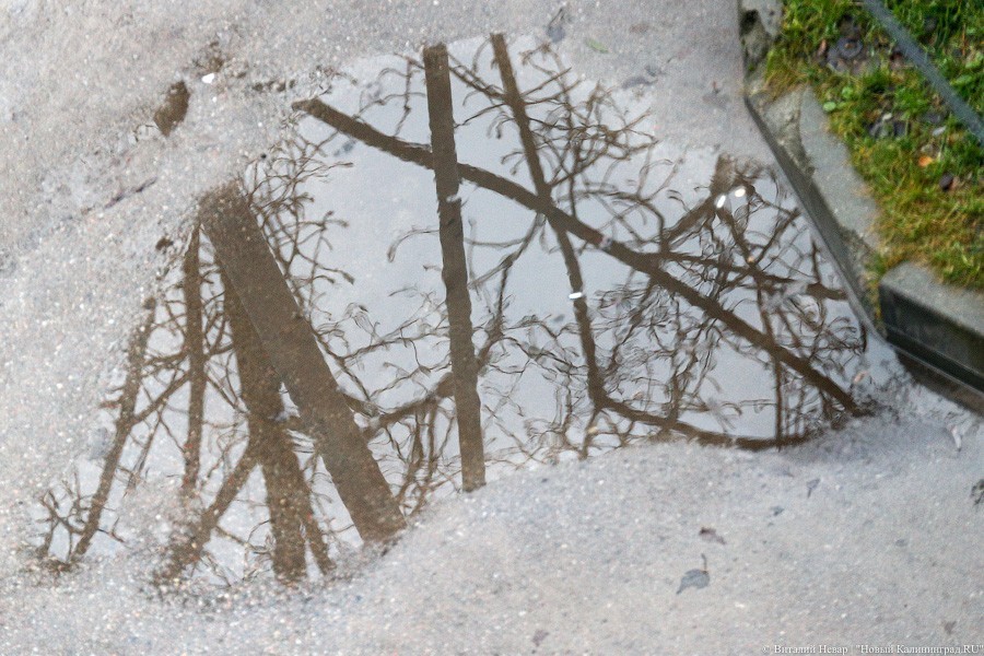 Метеорологи прогнозируют на неделе дожди и плюсовые температуры