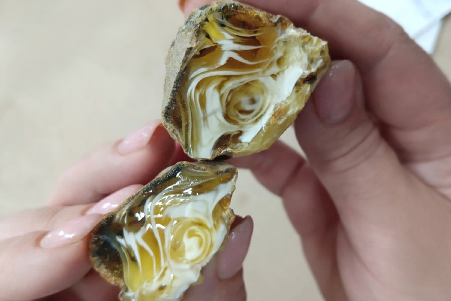 Загадка природы: на Янтарном комбинате добыли редкий «улыбающийся» самоцвет (фото)