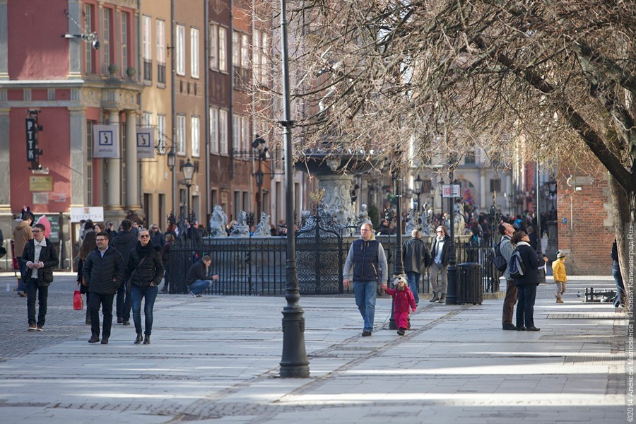 В Гданьске для туристов открывают старые подземные резервуары с летучими мышами