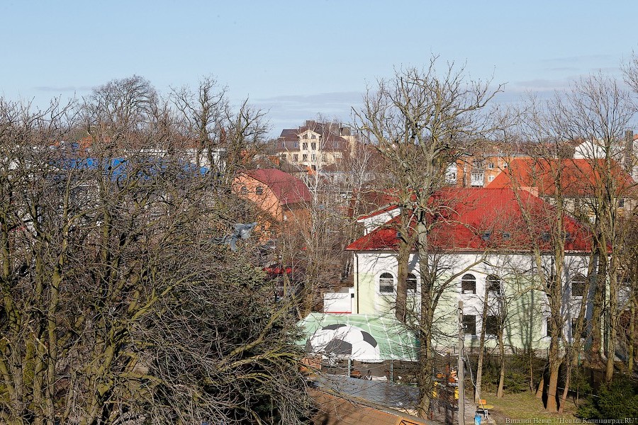 Власти Зеленоградска готовы потратить 14,8 млн руб. на благоустройство парка