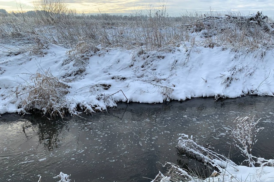 «Балтптицепром» оштрафовали за загрязнение реки Гаевки