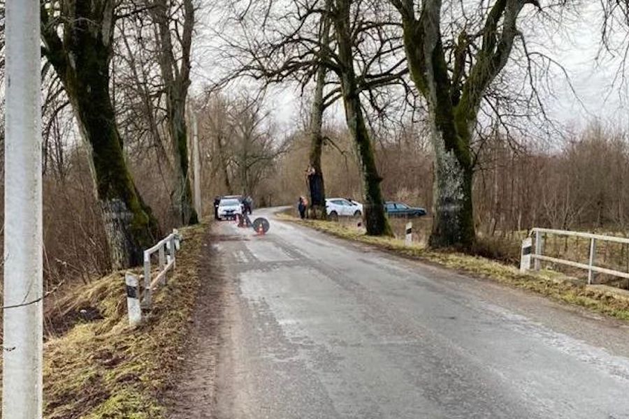 В Славском районе «Ауди» врезалась в столб и вылетела в кювет (фото)