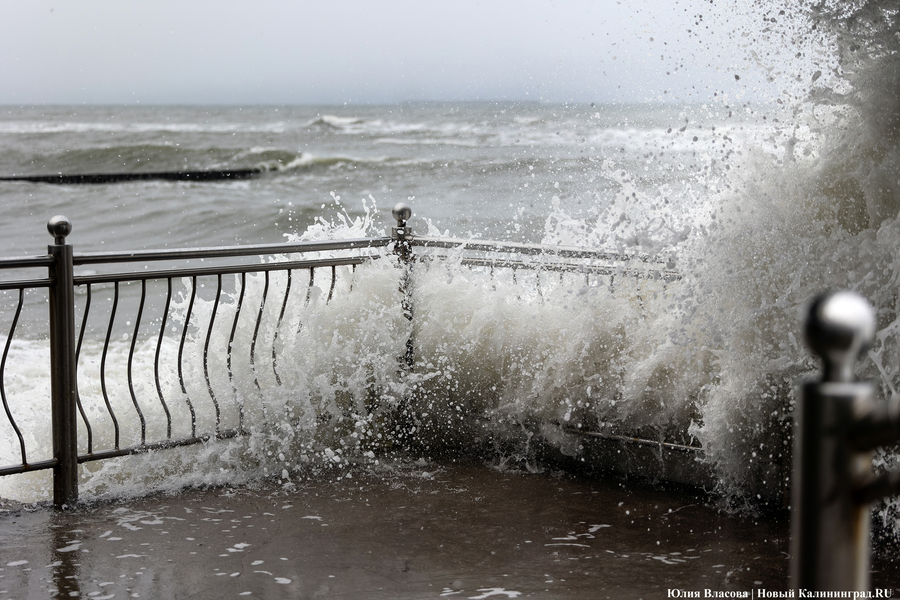 Синоптики предупредили о продолжении усиления ветра в выходные