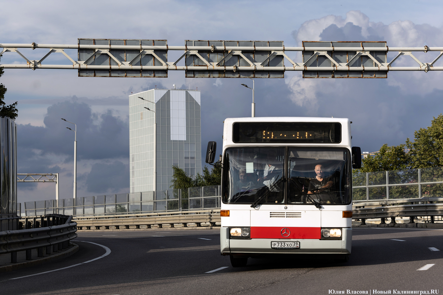 В мэрии объяснили, почему на остановках неверно отображается время прибытия транспорта