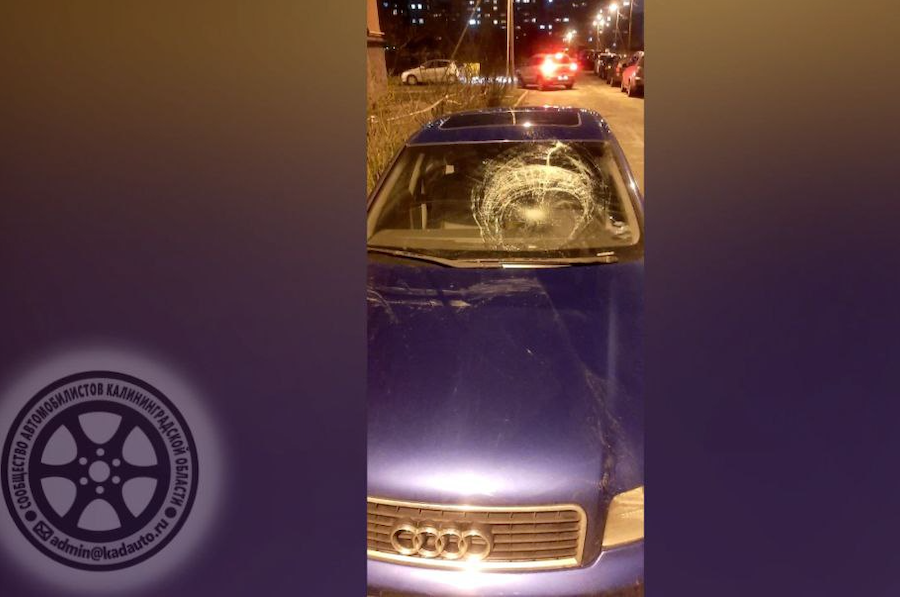 В Калининграде нетрезвый «паркурщик» прыгал по крышам припаркованных автомобилей