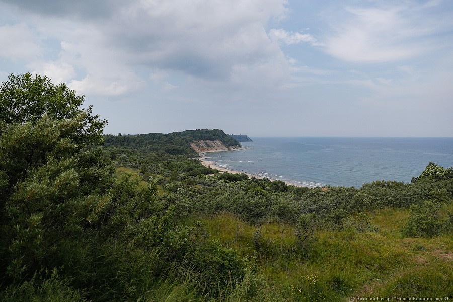 Власти региона передумали сокращать площадь заказника «Филинский»