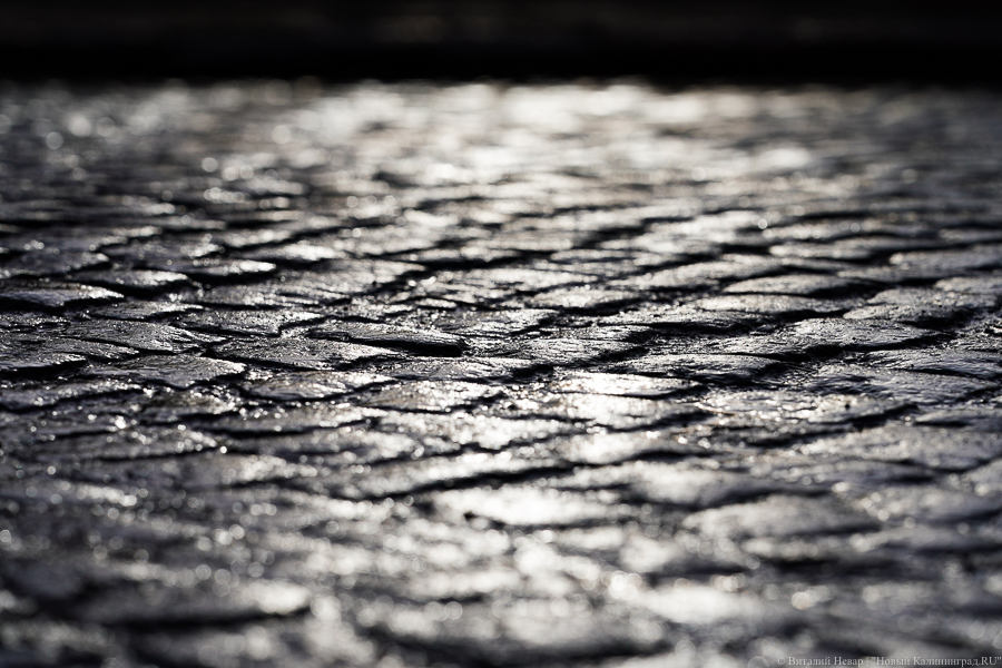 Власти не смогли сэкономить на торгах на ремонт Фестивальной аллеи