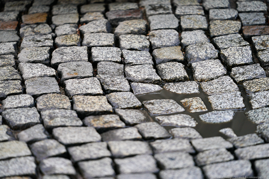 В Калининграде на «оживленных перекрестках» брусчатку решили заменить на асфальт
