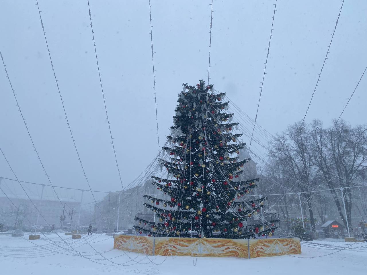 У главной городской елки Калининграда «сдуло» верхушку