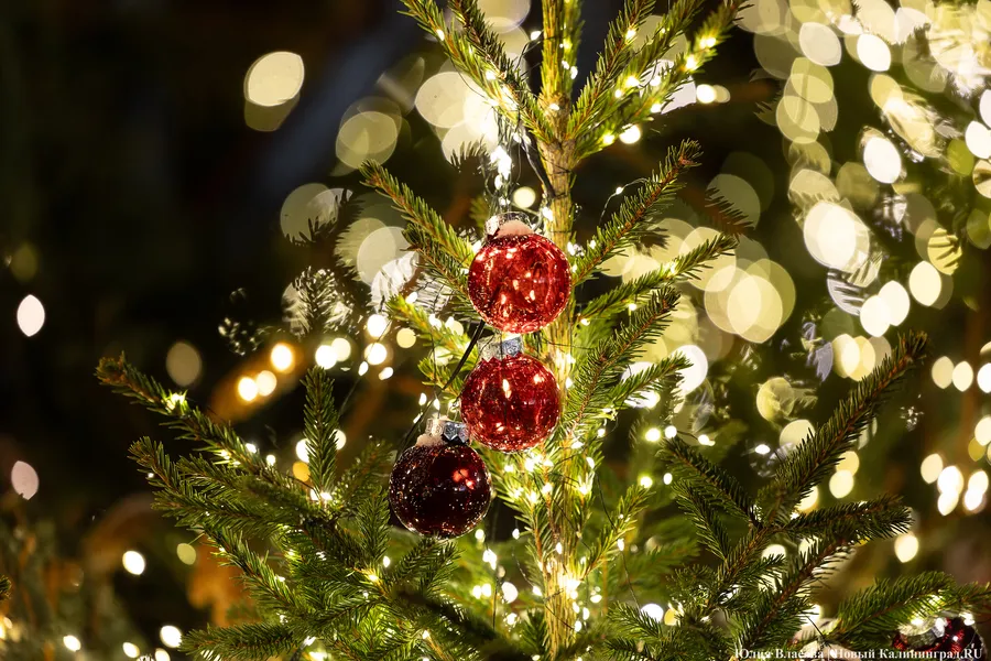 Погода в Калининградской области 26 декабря