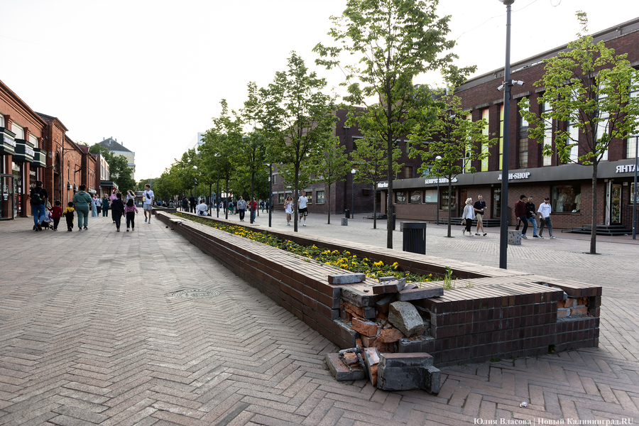 Плитку украли, клумбы сломали: что происходит на улице Баранова на пятый год после ее открытия (фото)