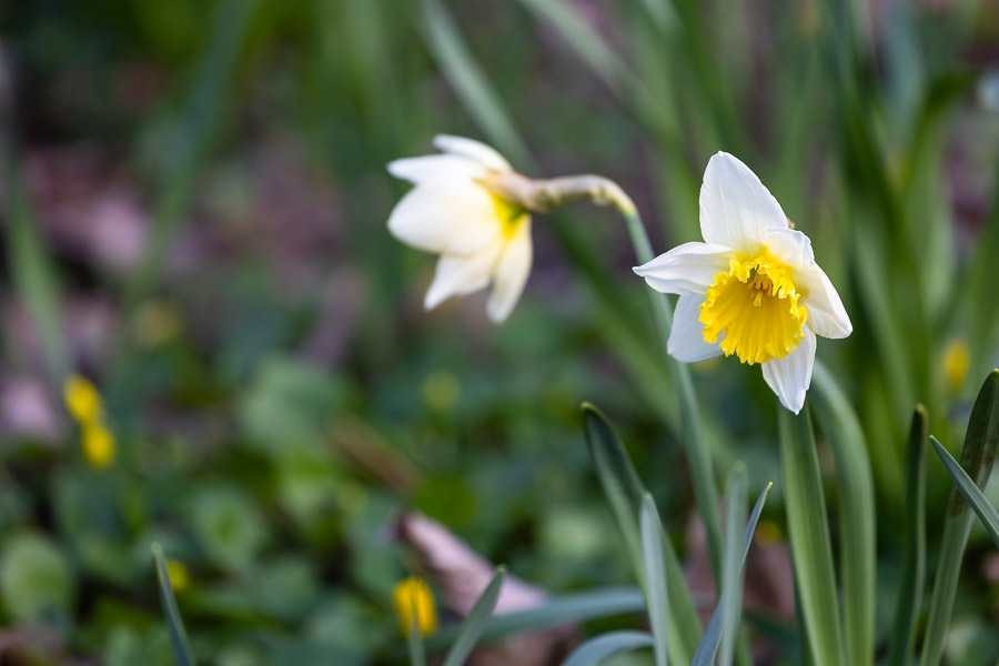 Тепло, но почти без солнца: погода в Калининградской области 24 марта