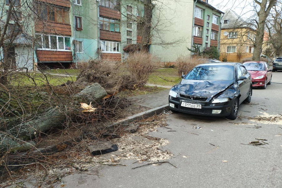 За вечер понедельника в результате шторма в Калининграде пострадали шесть автомобилей