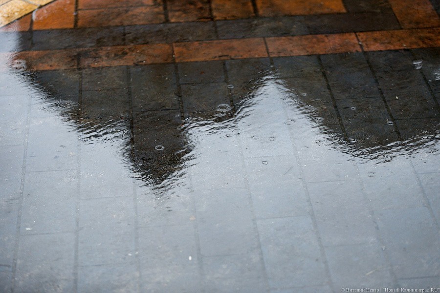 Синоптики обещают калининградцам пасмурную погоду и дожди