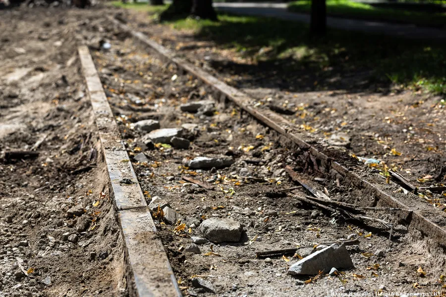 Мэрия Калининграда формально отказалась от плана по демонтажу трамвайных путей