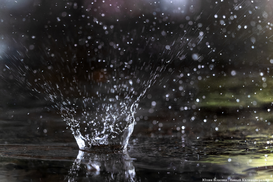 Погода в Калининградской области 4 мая 