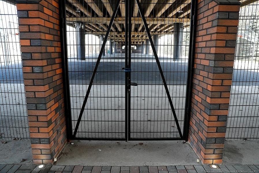 Калининграду снова выделяют 2,6 млн рублей на защитную сетку под эстакадным мостом