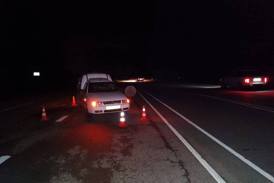 Под Неманом «Фольксваген» сбил мужчину, который шел в темноте посреди федеральной трассы