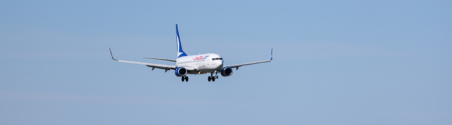 Вечерний@Калининград:  призрачные субсидии, собачья жизнь и палитра прошлого