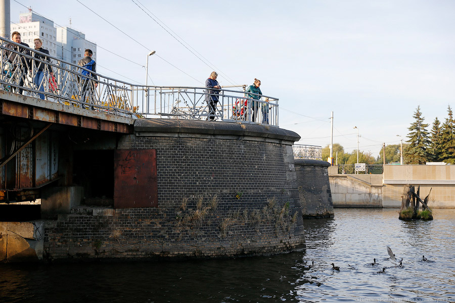 По образцу 1905 года: как власти собираются реконструировать мосты на Острове