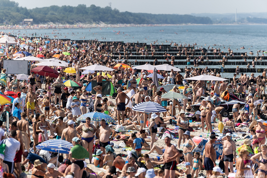Погода в Калининградской области 20 июля