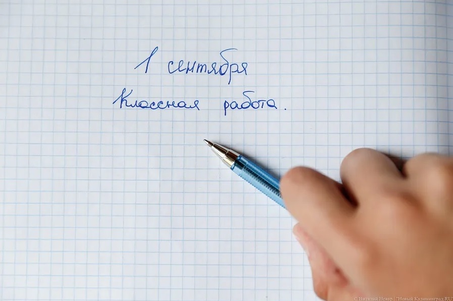 Власти: во всех школах России каждая учебная неделя будет начинаться с исполнения гимна