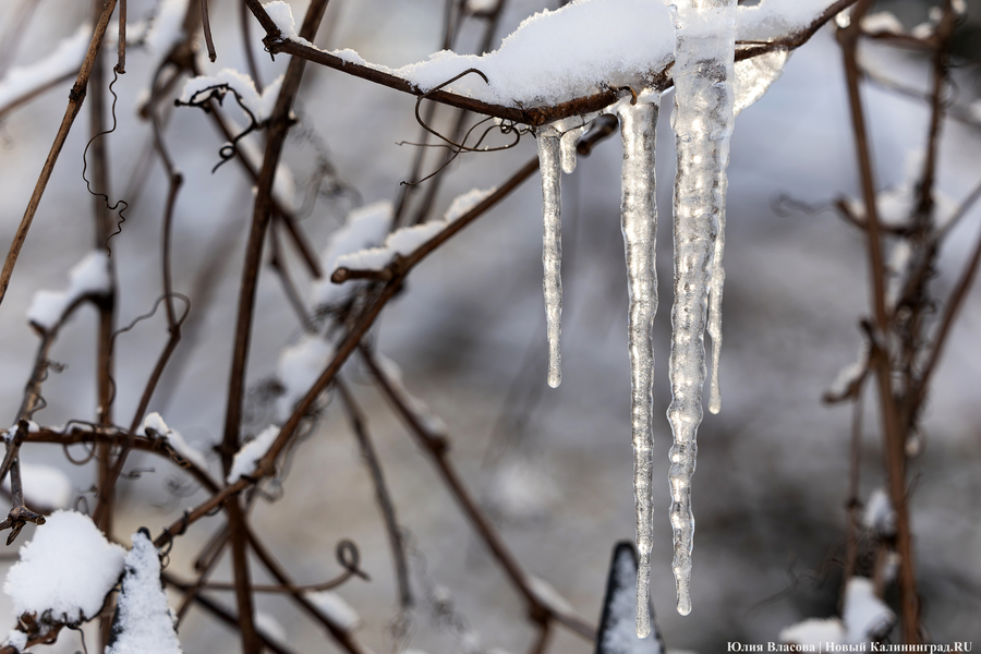 Погода в Калининградской области 22 февраля