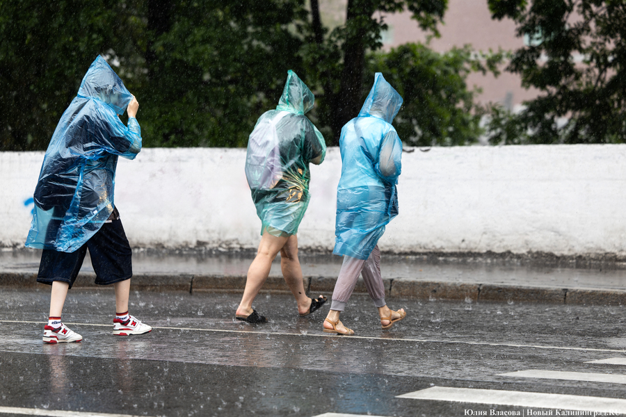 «На троечку»: как отельеры оценили летний сезон в Калининградской области