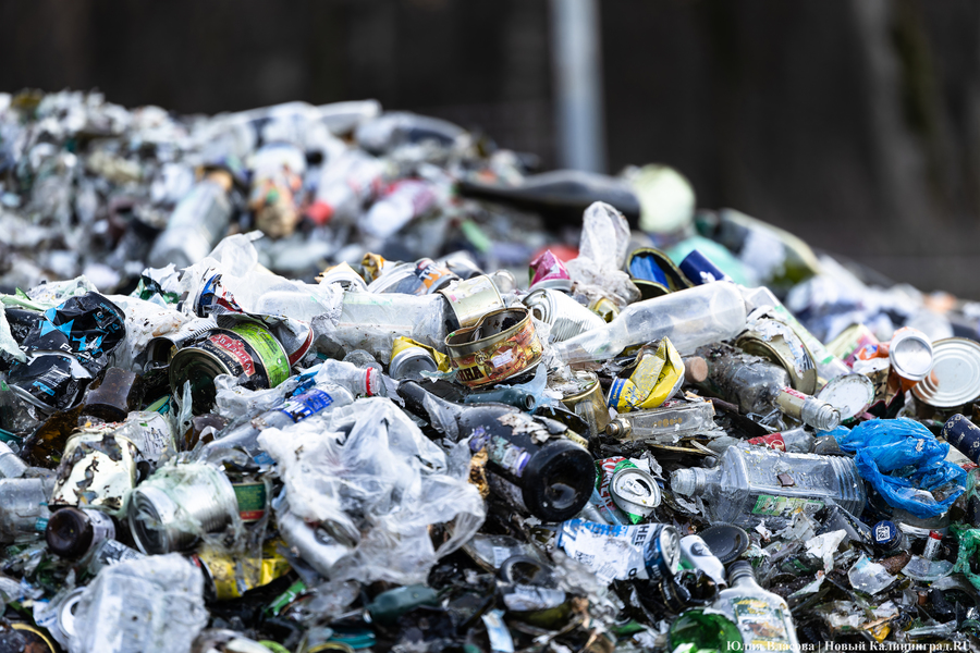 В минприроды назвали причины расторжения контракта по мусоросортировке в Корнево