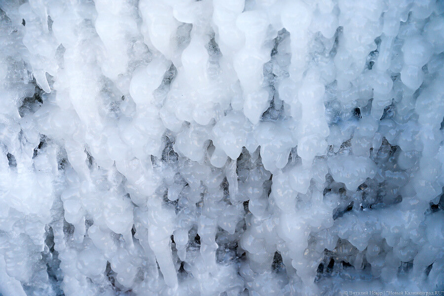 Уже до -25°С: синоптики уточнили прогноз погоды в Калининградской области