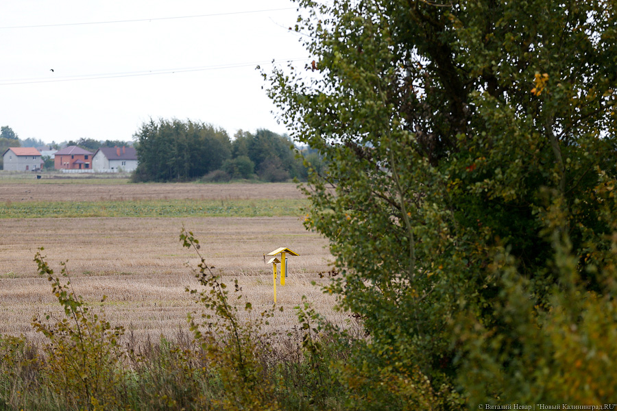 «Авито»: земельные участки в Калининградской области подорожали за год на 23%