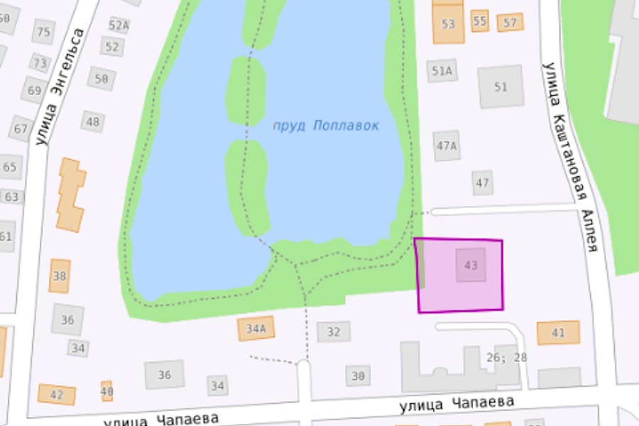 Власти Калининграда одобрили вырубку на Каштановой аллее