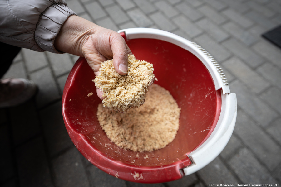 Осадок оставит район без горячей воды: калининградские УК обратились к губернатору