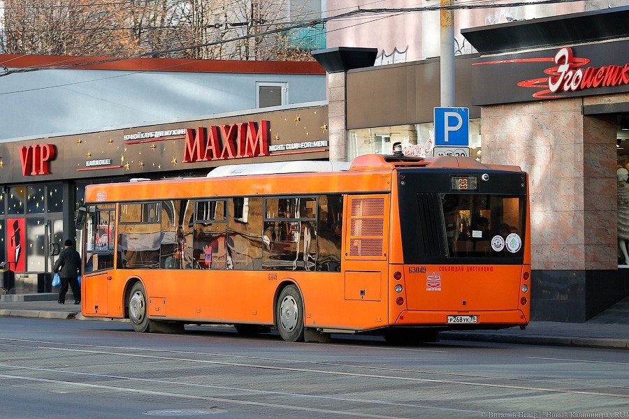 Кропоткин о субсидиях «ГорТрансу»: нужно следить, а то без штанов останемся