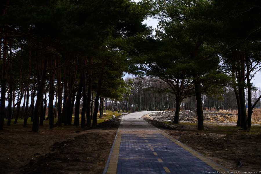 Кукушкина о железнодорожной ветке в Янтарный: хотели построить там велодорожку