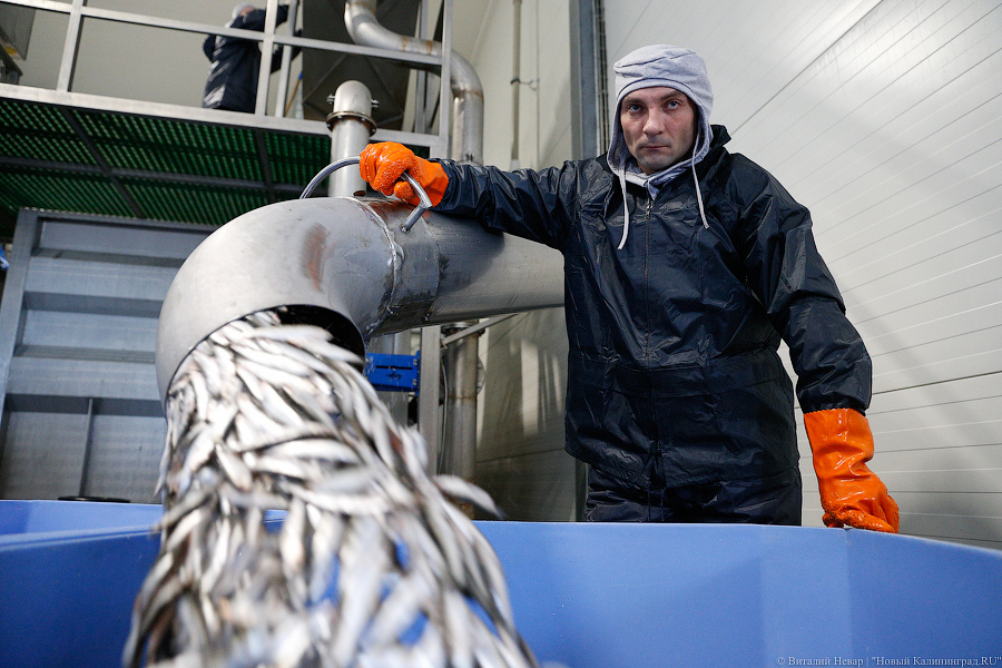 «Любви и рыбалки!»: как в Светлом впервые за 27 лет флот обновили