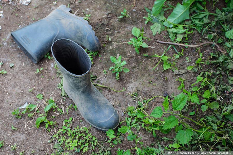 Госдума приняла закон о продлении «дачной амнистии» до весны 2020 года