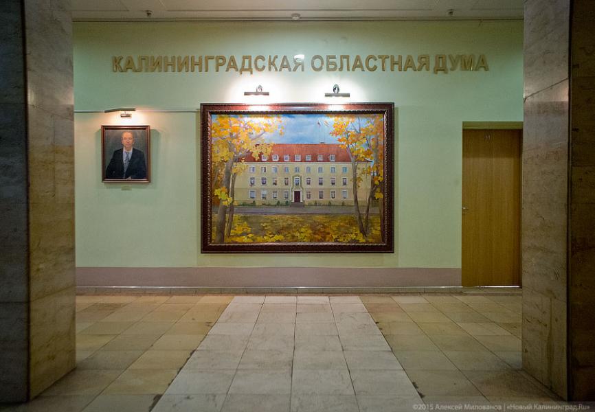 Облдума поддержала введение штрафов за незаконную выдачу бюллетеней для голосования