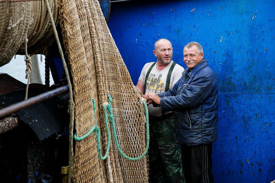 В Куршском заливе начался промышленный лов корюшки