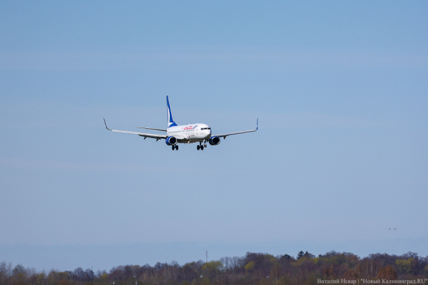 Вечерний@Калининград:  призрачные субсидии, собачья жизнь и палитра прошлого