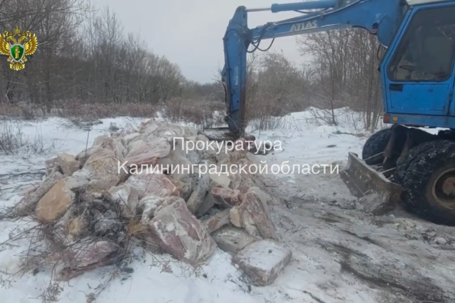 В Калининграде проверяют информацию о свалке биологических отходов