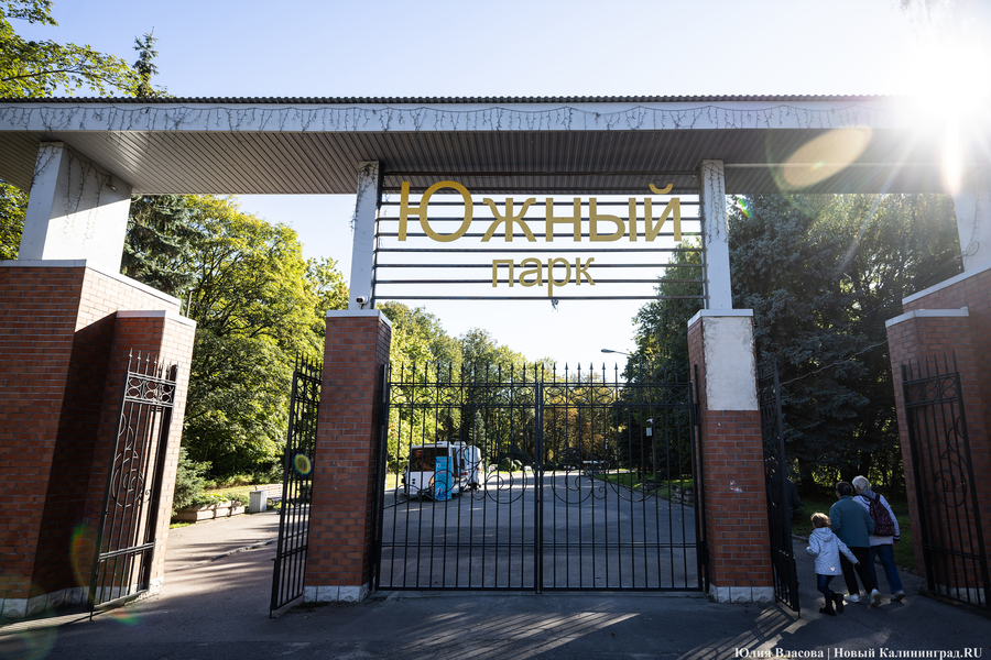 Экспертиза одобрила проект детской и спортивной площадок в Южном парке