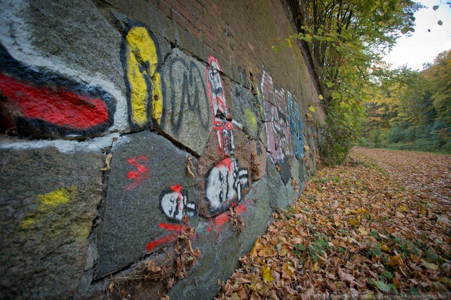 Калининградская область стала пилотным регионом программы «Аренда за рубль»