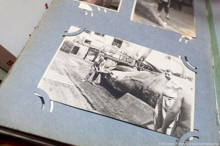 Музей советского периода «Дом Китобоя» появится во дворе научной библиотеки