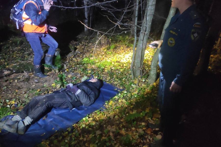 Питалась листьями и травой: полиция рассказала о прожившей в лесу 9 суток пенсионерке